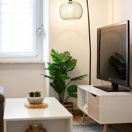 Апартаменты Le Citadin - Centre - Musee Automobile - Parc Expo Мюлуз